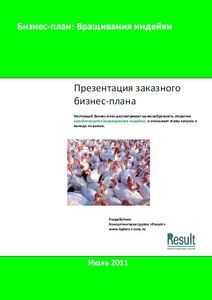Бизнес план индейководства (выращивания индейки)