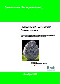 Бизнес-план овцеводство