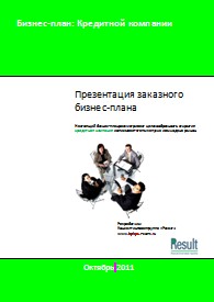 Бизнес-план кредитной компании